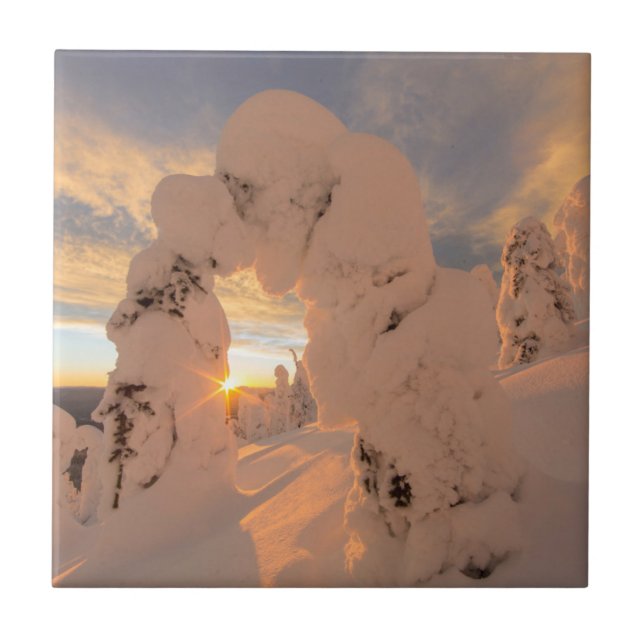 Azulejo De Cerámica Fantasmas de nieve en Whitefish Range (Frente)