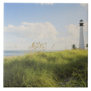 Azulejo De Cerámica Faro de Bill Baggs Cape Florida, Bill Baggs