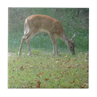 Azulejo De Cerámica faun, venado bebé en el lago Arrowhead
