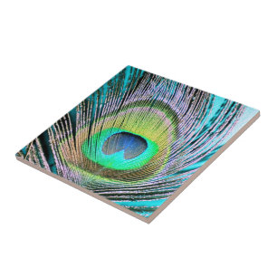 Azulejo De Cerámica Feather de pavo real sobre turquesa