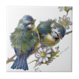 Azulejo De Cerámica Felices Aves Vintage