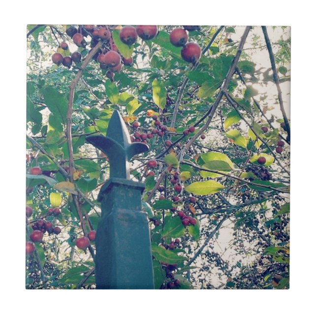 Azulejo De Cerámica Fence Post (Frente)