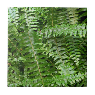 Azulejo De Cerámica Fern Fronds I Green Nature