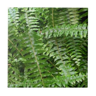 Azulejo De Cerámica Fern Fronds I Green Nature