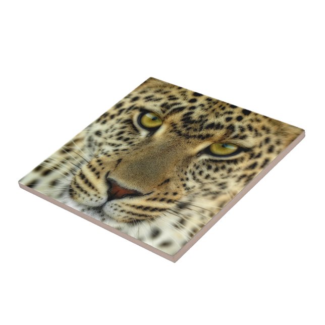 Azulejo De Cerámica Fierce Leopard (Lado)