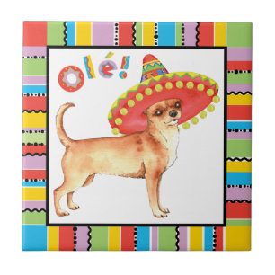 Azulejo De Cerámica Fiesta Chihuahua