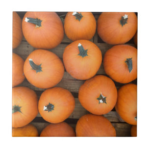 Azulejo De Cerámica Filas de calabaza