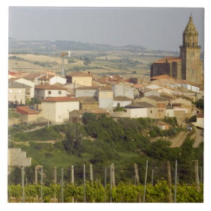 Azulejo De Cerámica Filas de vid de uva en primer plano