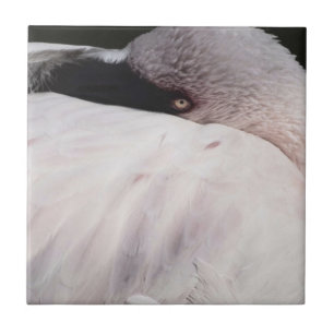 Azulejo De Cerámica Flamingo