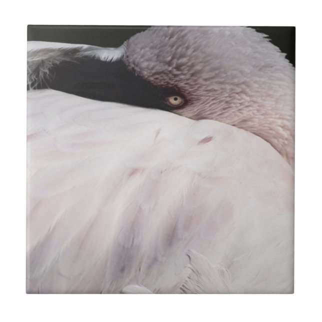 Azulejo De Cerámica Flamingo (Frente)