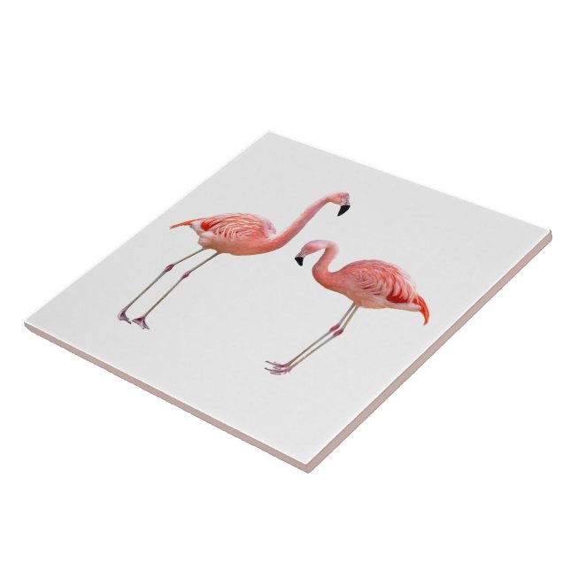 Azulejo De Cerámica “flamingo”の優良製品 (Lado)