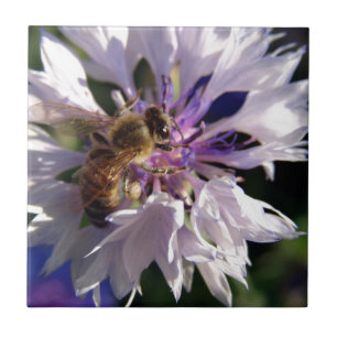 Azulejo De Cerámica Flor azul y abeja