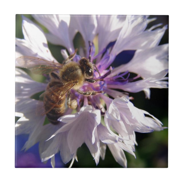Azulejo De Cerámica Flor azul y abeja (Frente)