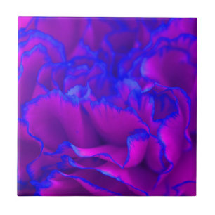 Azulejo De Cerámica Flor de canal rosa y azul Fuschia en negrita