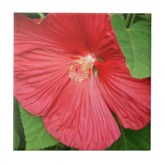 Azulejo De Cerámica Flor de Hibiscus brillante flor magenta
