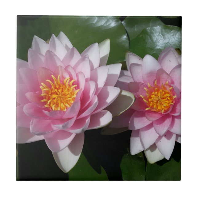 Azulejo De Cerámica Flor de Lotus (Frente)