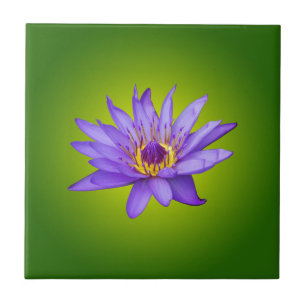 Azulejo De Cerámica Flor de Nenúfar Estanque Acuático Púrpura Flor de 
