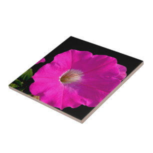 Azulejo De Cerámica flor de petunia rosa