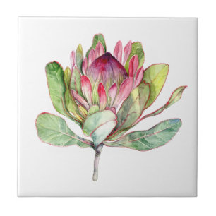 Azulejo De Cerámica Flor del Protea