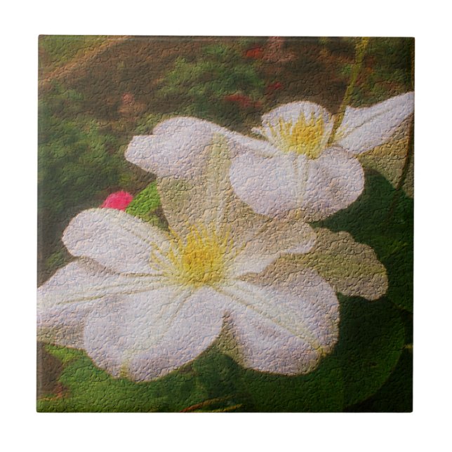 Azulejo De Cerámica Flor Delicada Clematis Blanca (Frente)