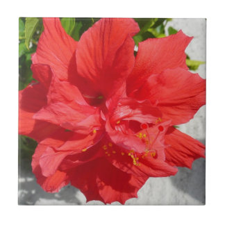 Azulejo De Cerámica Flor doble roja hibiscus