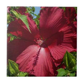 Azulejo De Cerámica Flor hibiscus y cielo azul
