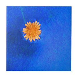 Azulejo De Cerámica Flor Naranja solitaria
