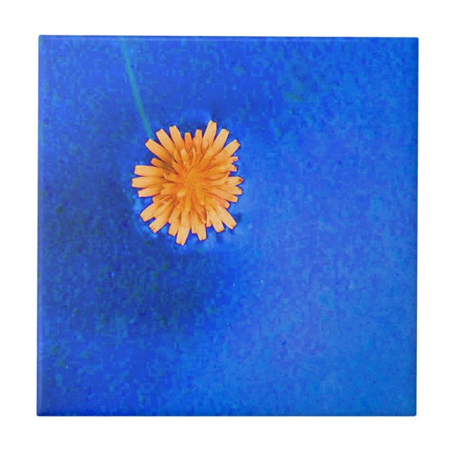 Azulejo De Cerámica Flor Naranja solitaria (Frente)