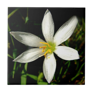 Azulejo De Cerámica Flor Pequeña (4,25" x 4,25") Tejido de fotografía