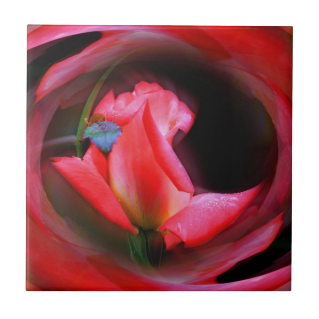 Azulejo De Cerámica Flor rosa rosebud Abstrato arte (Frente)