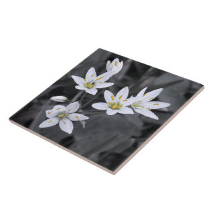 Azulejo De Cerámica Flor silvestre macrofoto mosaicos cerámicos