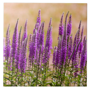 Azulejo De Cerámica Flor - Sueño con lavanda