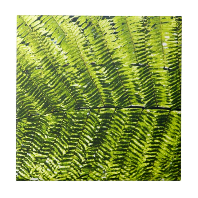 Azulejo De Cerámica Flora Dominica 5 (Frente)