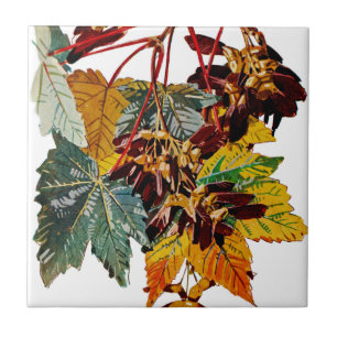 Azulejo De Cerámica Flora exótica número 3 en Sunshine Dazzle