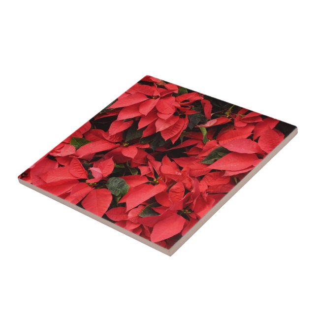 Azulejo De Cerámica Floral navideña de Navidades de la Poinsettias Roj (Lado)