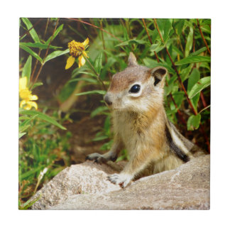 Azulejo De Cerámica Flores amarillas Chipmunk