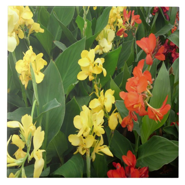 Azulejo De Cerámica Flores amarillas y rojas (Frente)