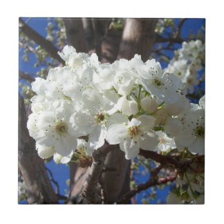 Azulejo De Cerámica Flores blancas II Árbol de flores primavera