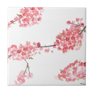 Azulejo De Cerámica Flores de flores de cerezo rosado primavera acuare