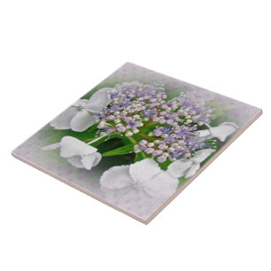 Azulejo De Cerámica Flores de hidrangea blanca y azul