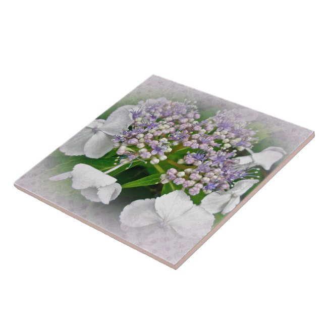 Azulejo De Cerámica Flores de hidrangea blanca y azul (Lado)