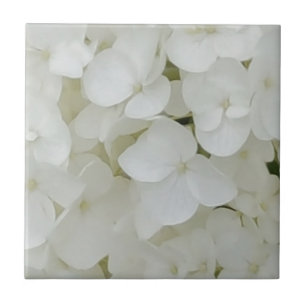 Azulejo De Cerámica Flores de hidrangea de color blanco floral elegant
