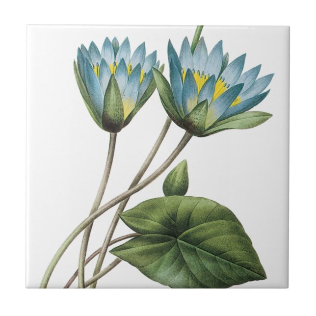 AZULEJO DE CERÁMICA FLORES DE LOTUS AZUL TRIVET (Frente)