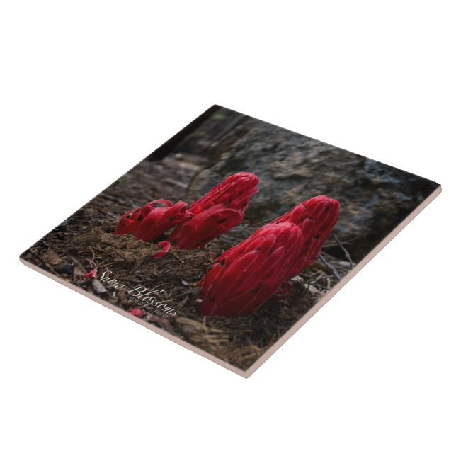 Azulejo De Cerámica Flores de nieve (Lado)