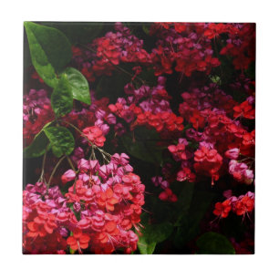 Azulejo De Cerámica Flores de Pagoda Coloridas de Rojo y Rosa