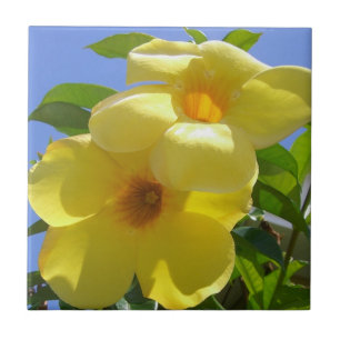 Azulejo De Cerámica Flores de trompeta doradas I