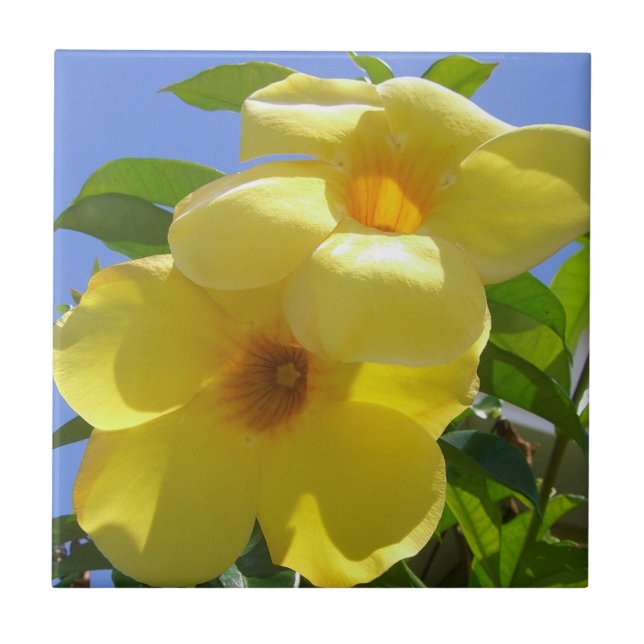 Azulejo De Cerámica Flores de trompeta doradas I (Frente)