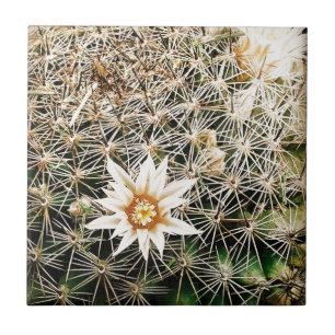 Azulejo De Cerámica Flores en un cactus
