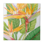 Azulejo De Cerámica Flores exóticas acuarela<br><div class="desc">Artista de acuarela de flores exóticas: Tim OToole</div>