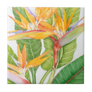 Azulejo De Cerámica Flores exóticas acuarela